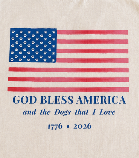 God Bless America Tee