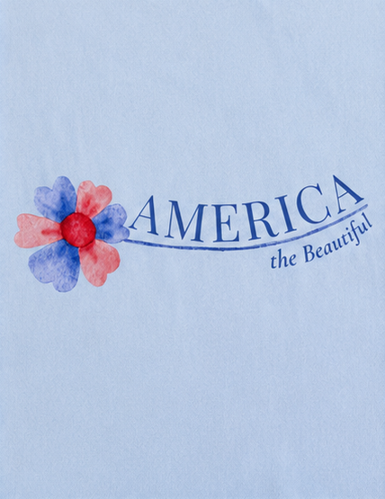 America the Beautiful Tee